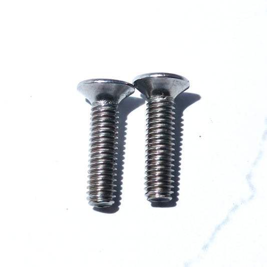 Brake Oil Reservoir Guard for Triumph Speed 400(Front)