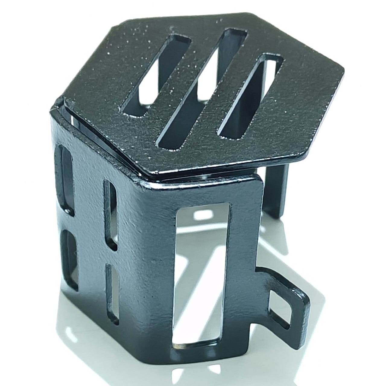 Rear Brake Fluid Reservoir Guard – Triumph Speed 400